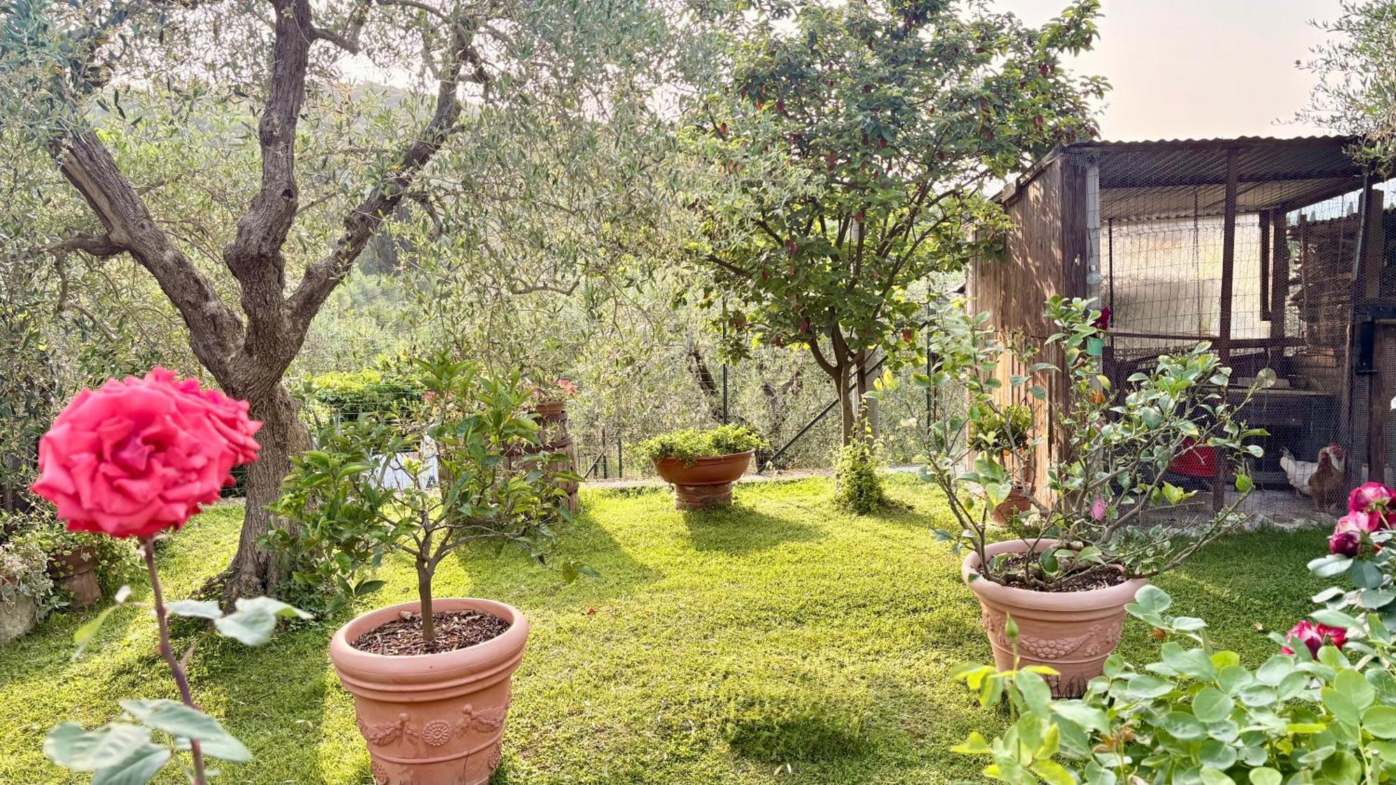 B&B Il Pozzo Sinalunga Kültér fotó