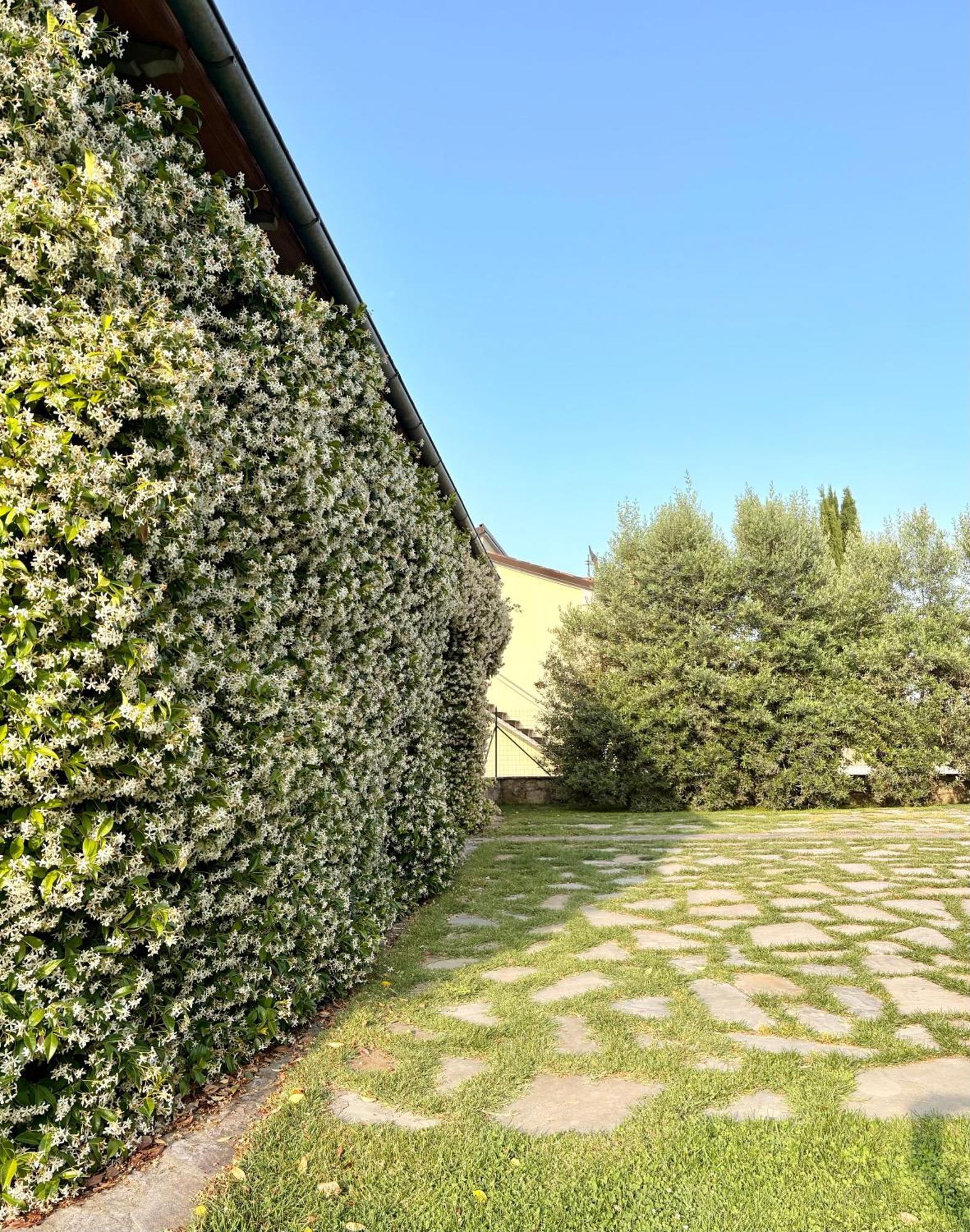 B&B Il Pozzo Sinalunga Kültér fotó
